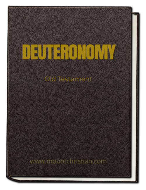 DEUTERONOMY