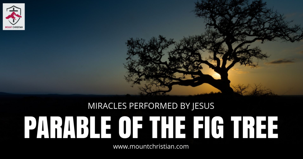 Parable of the Fig tree - Mount Christian - Custom dimensions